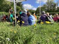  Nature recovery begins at Pentwyn Farm