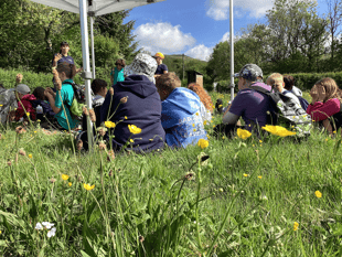  Nature recovery begins at Pentwyn Farm