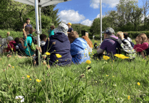 Radnorshire Wildlife Trust project begins nature recovery at Pentwyn Farm