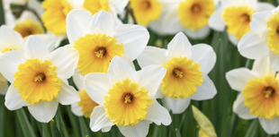 Picture This: First signs of spring!