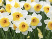 Picture This: First signs of spring!