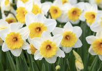 Picture This: First signs of spring!