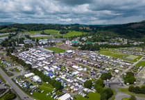 RWAS to take over SV Arena after director's death