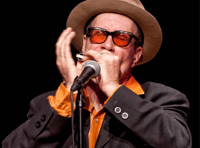 New York based Harmonica player heads to Brecon