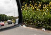 Litter found on almost every main road in Wales