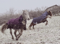 Readers' best cold photography