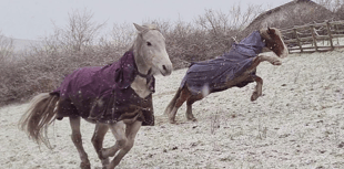 Readers' best cold photography