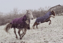 Readers' best cold photography