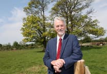 New £825 incentive launched for tree planting in Wales