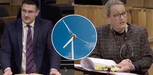 MS calls for halt to wind farm and pylon plans