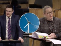 MS calls for halt to wind farm and pylon plans