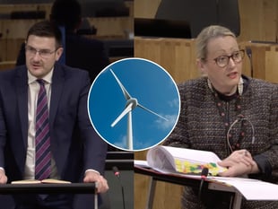 MS calls for halt to wind farm and pylon plans