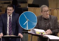 MS calls for halt to wind farm and pylon plans