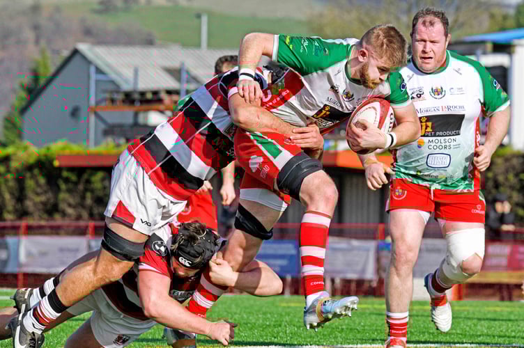 Griff Evans charges forward for Llandovery