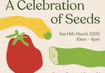 Brecon prepares for 'A Celebration of Seeds' event