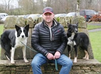 Evans hits double top at sheepdog sale