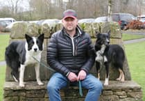 Brecon's Kevin Evans hits double top at sheepdog sale