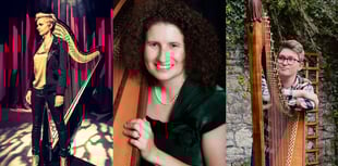 Bookings now open for 14th Glasbury Arts Harp Summer School