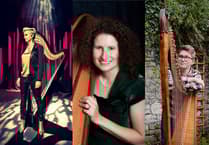 Bookings now open for 14th Glasbury Arts Harp Summer School