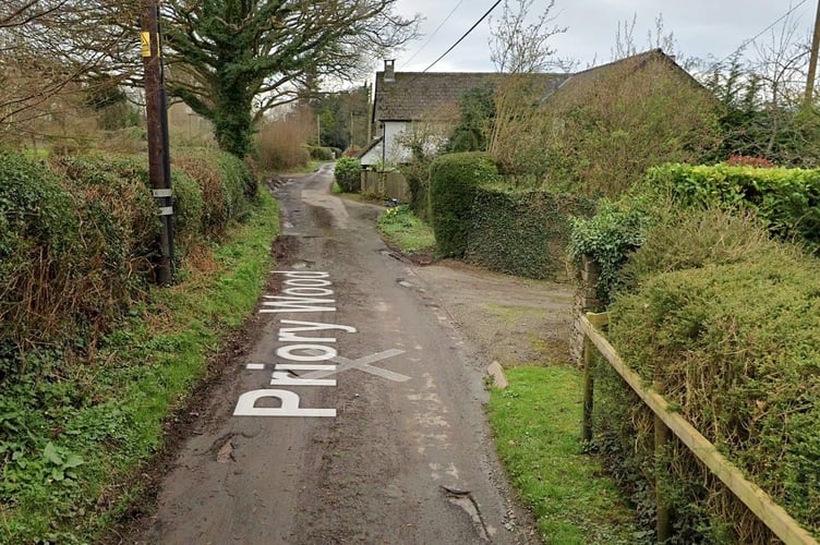 Priory Wood, taken two years ago