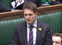 Chadwick raises alarm over windfarm development on local peatlands