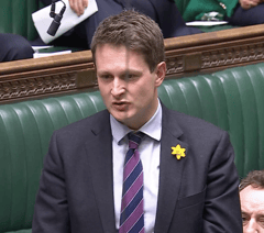 Chadwick raises alarm over windfarm development on local peatlands