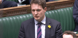 Chadwick raises alarm over windfarm development on local peatlands