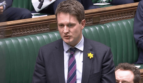 Chadwick raises alarm over windfarm development on local peatlands