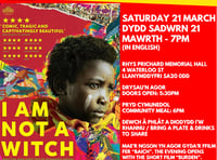 Llandovery Cinema celebrates women's history month with screening