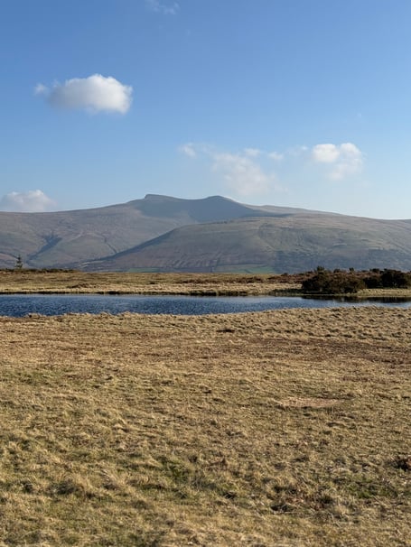 Brecon Beacons