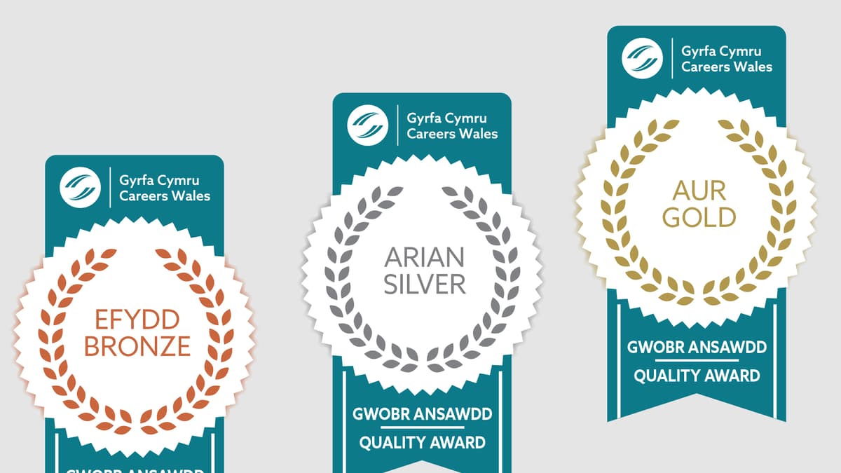 Powys schools recognised as Careers Wales Quality Award pilot paves the ...