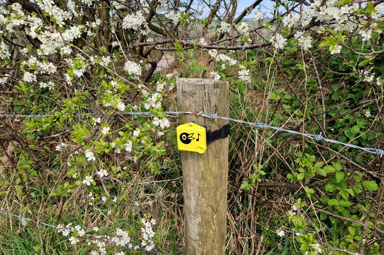 One of the recording devices with sensors used to detect birds on Welsh farmland