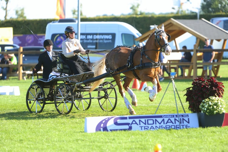 Emily and Alfie in action in the cones section at last year’s World Championships 
