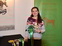 Top honours for Brecon paradriver and 24-year-old cob