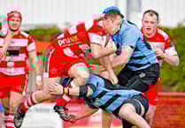 Llandovery blown away as Cardiff run riot