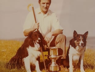 Senni prepares for National Sheepdog Trials