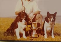 Welsh National Sheepdog Trials to come to Brecon area for first time in 20 years