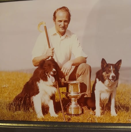 Welsh Sheepdog Trials