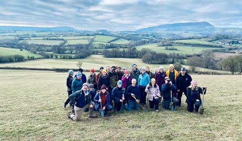 Stump Up For Trees reaches 500,000-tree milestone