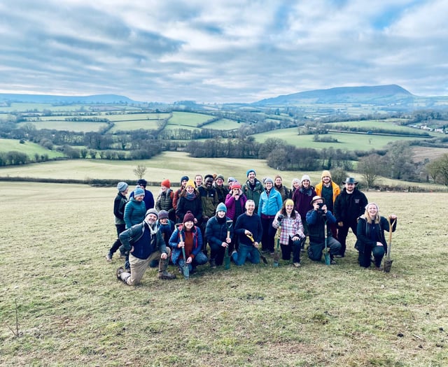 Stump Up For Trees reaches 500,000-tree milestone