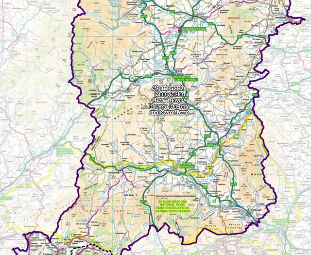 Senedd election leaflets published online for voters