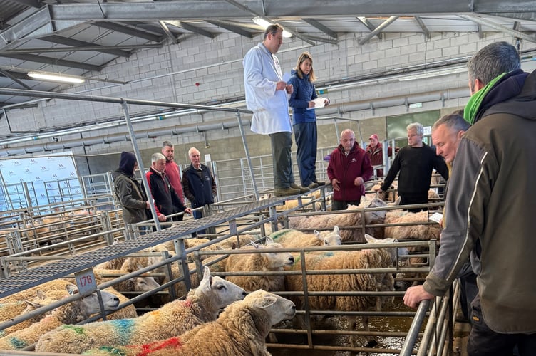 Traders and farmers at Tuesday’s Brecon Market