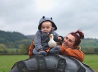 Mental health helpline ‘saved my life’, says Powys call handler