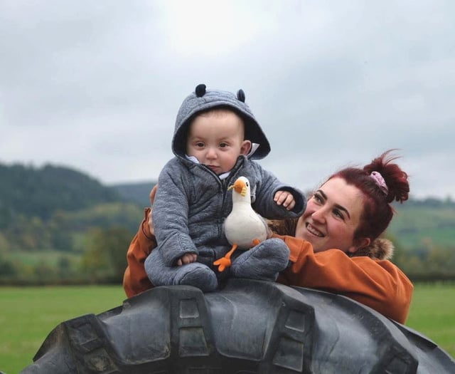 Mental health helpline ‘saved my life’, says Powys call handler