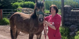 Survey finds MS stigma in Wales persists