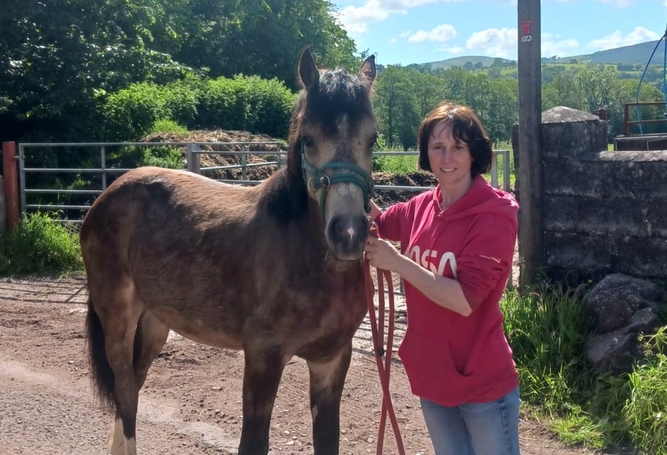 Survey finds MS stigma in Wales persists