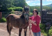 MS patients in Wales facing challenges over Blue Badge and accessible toilets