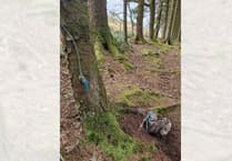 RSPCA appeals after dead buzzard found tied to tree