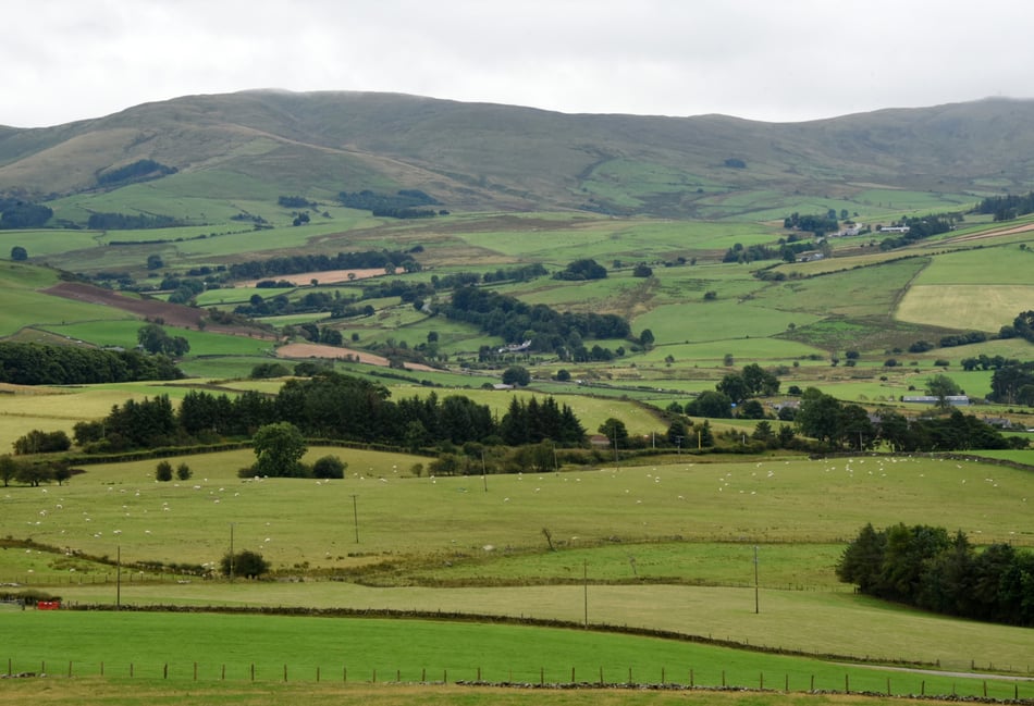 Brecon and Llandrindod farms join pioneering environmental pilot