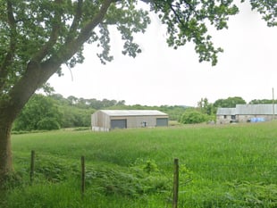 Pet crematorium expansion approved to handle horse remains